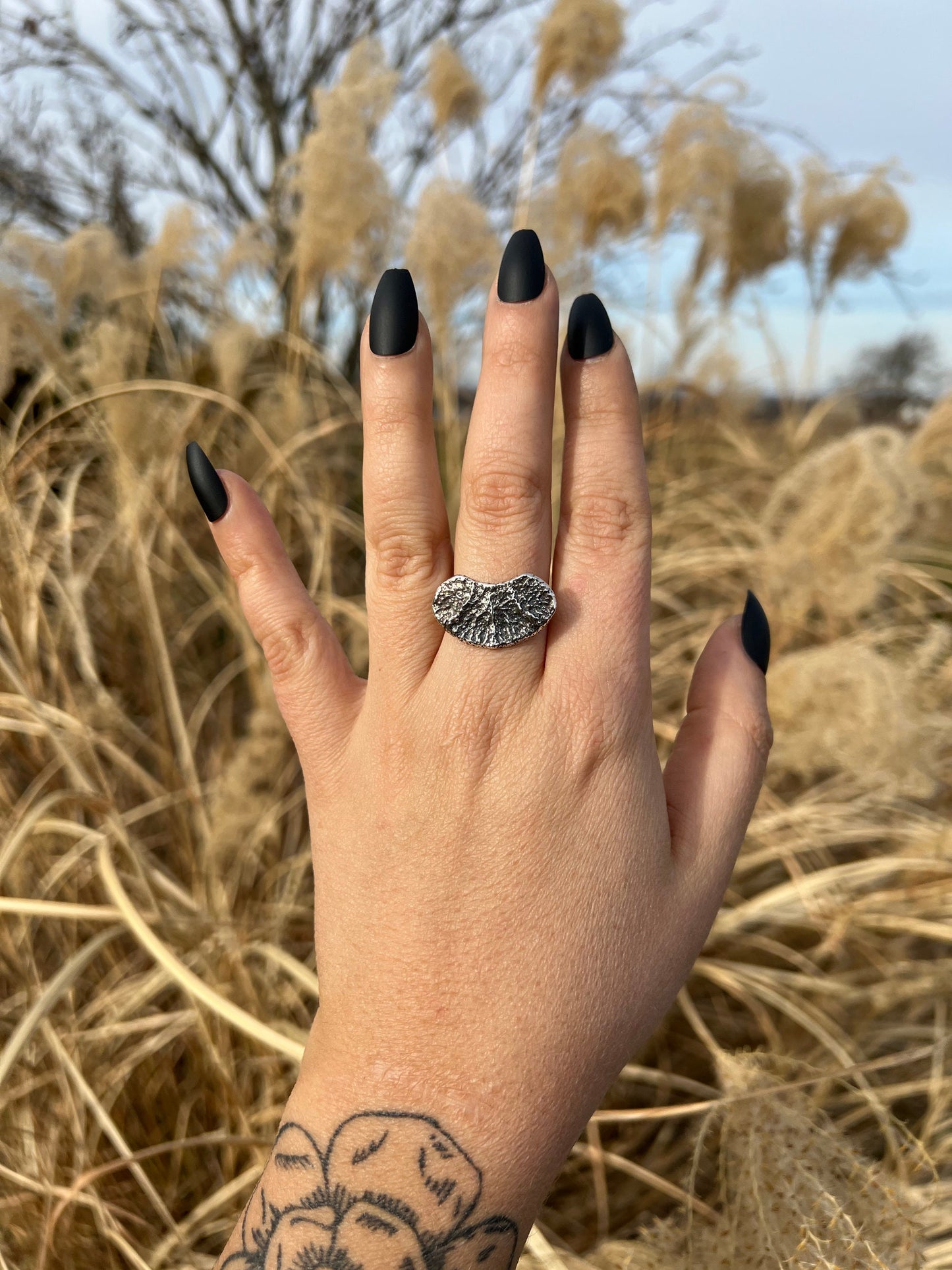 deer flat vertebral epiphysis ring