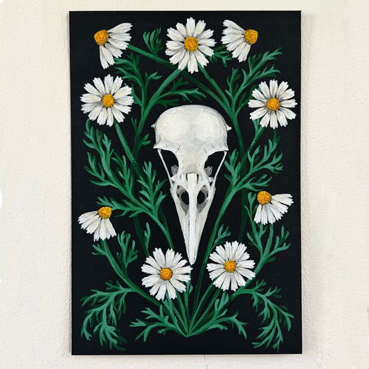 Crow skull and chamomile - Original gouache painting