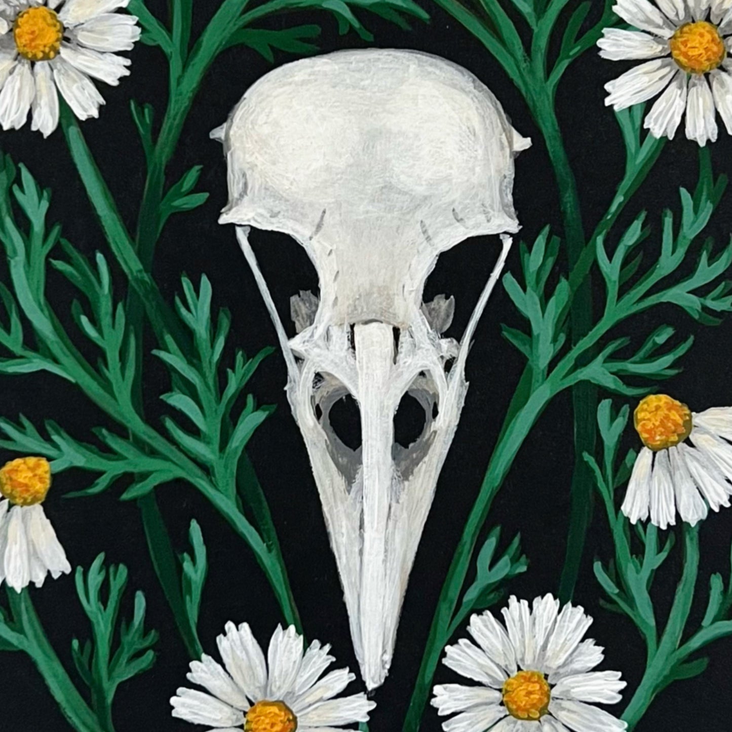 Crow skull and chamomile - Original gouache painting