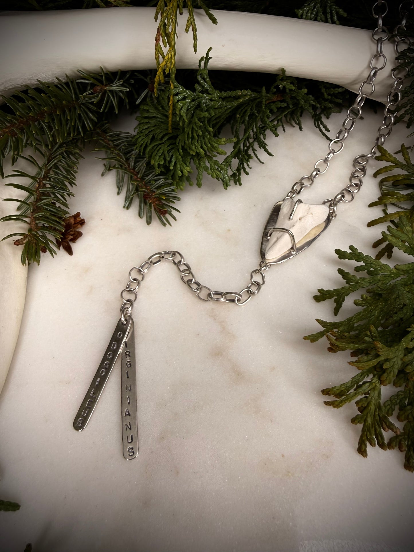 Odocoileus virginianus lariat necklace