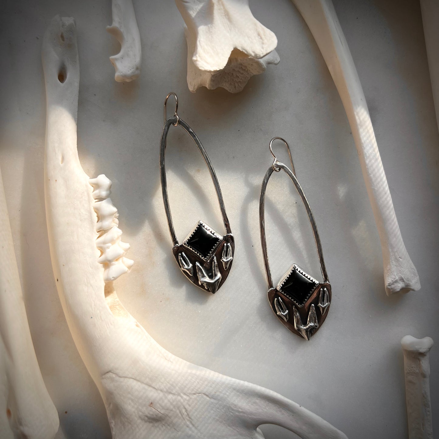 Fox and Raccoon premolars with black onyx