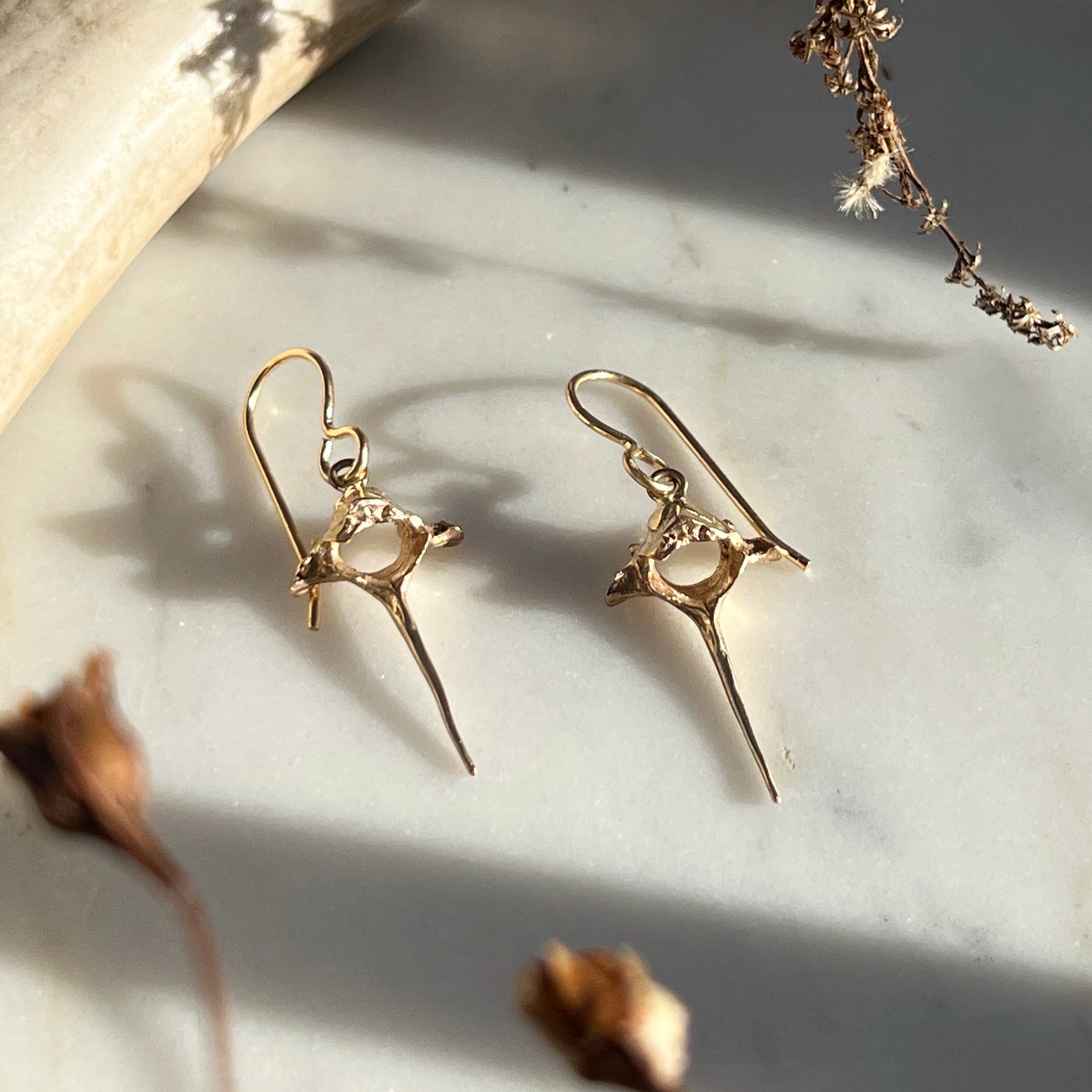 ✷ 14k Gold ✷ squirrel vertebrae earrings