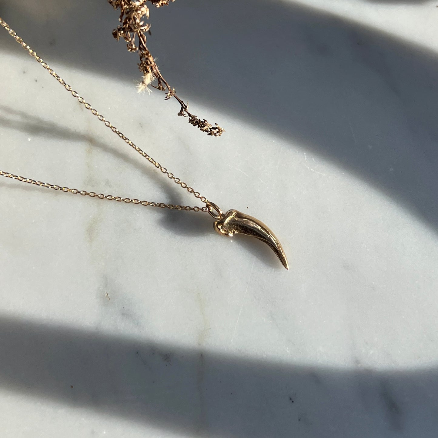 ✷ 14k Gold ✷ Fox claw charm necklace