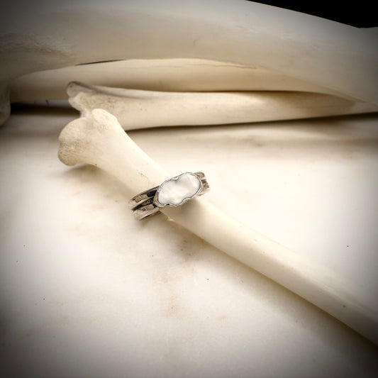 genuine fox oval molar ring double band SIZE 6.5
