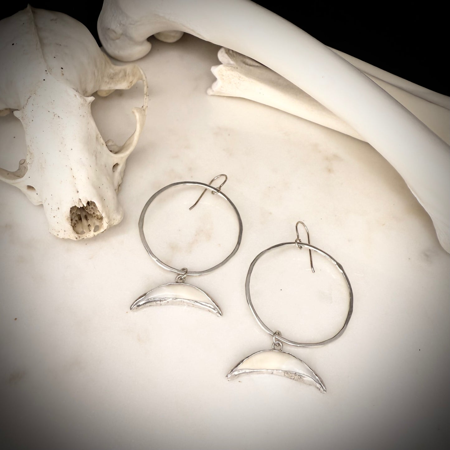 small hoop earrings with genuine fox fangs