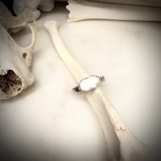 genuine fox oval molar ring single band SIZE 6