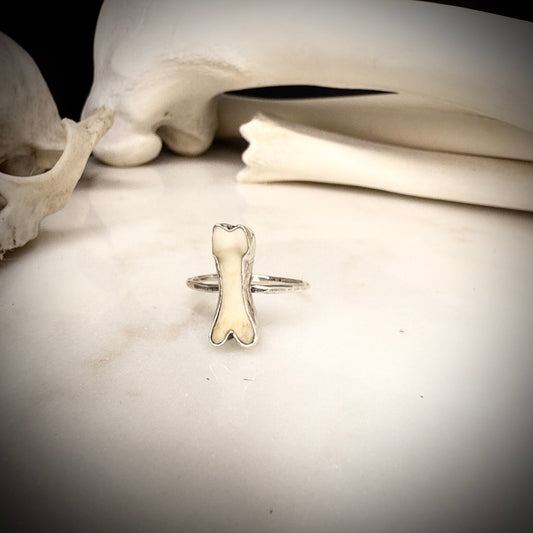 genuine fox toe bone ring