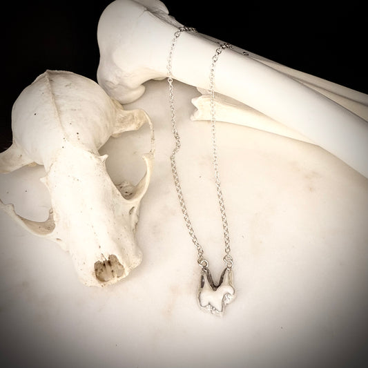 genuine fox molar necklace