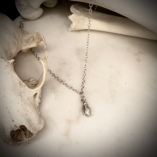 Bone charm necklace - fox premolar