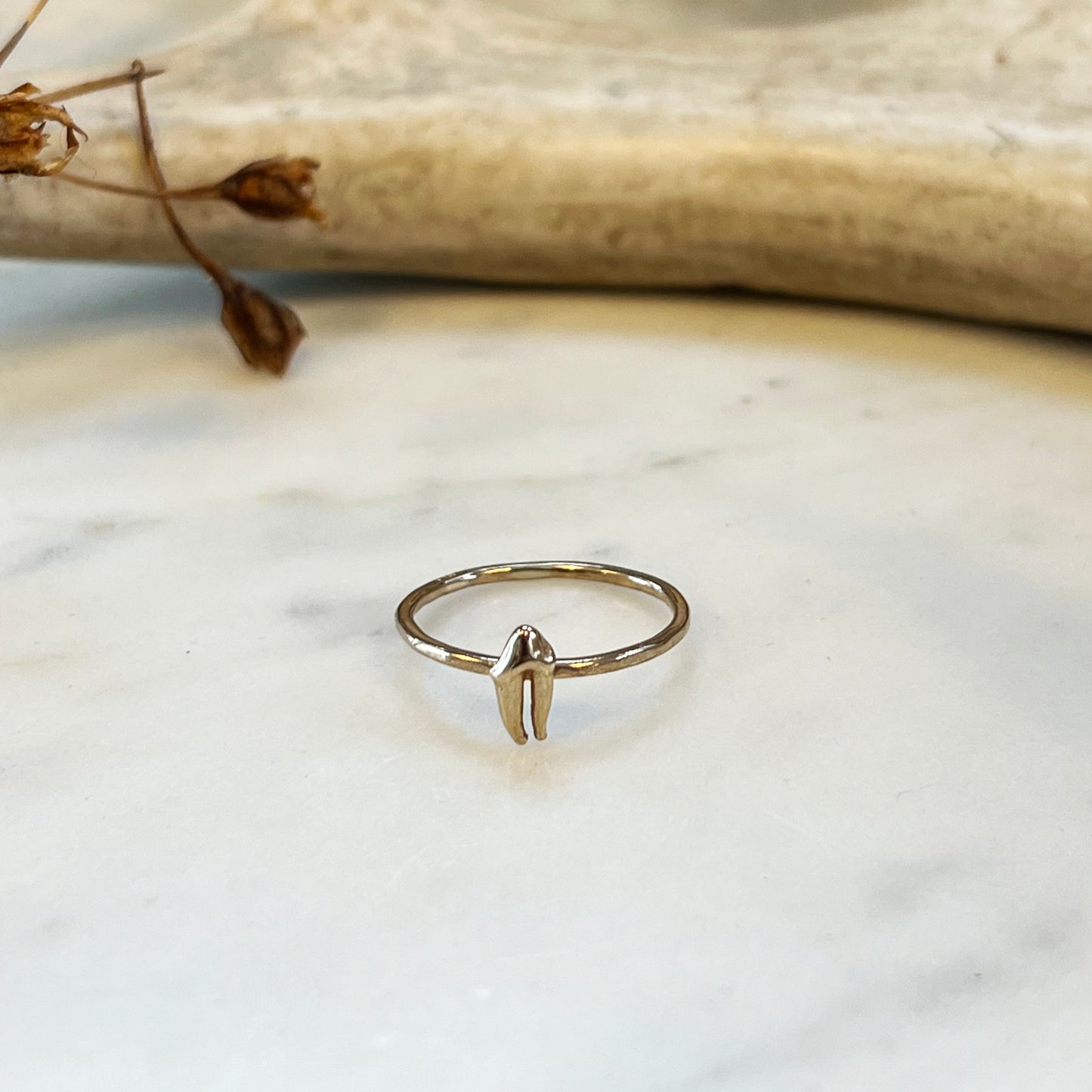 ✷ 14k Gold ✷ Stacking ring with raccoon premolar