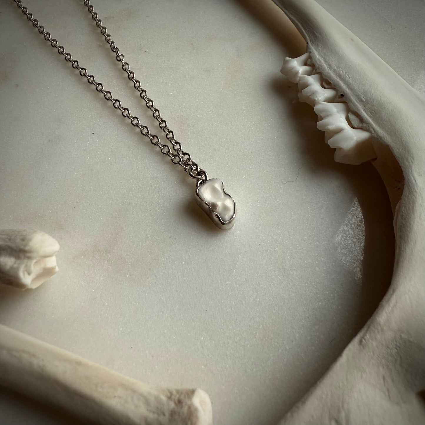 real fox tooth necklace