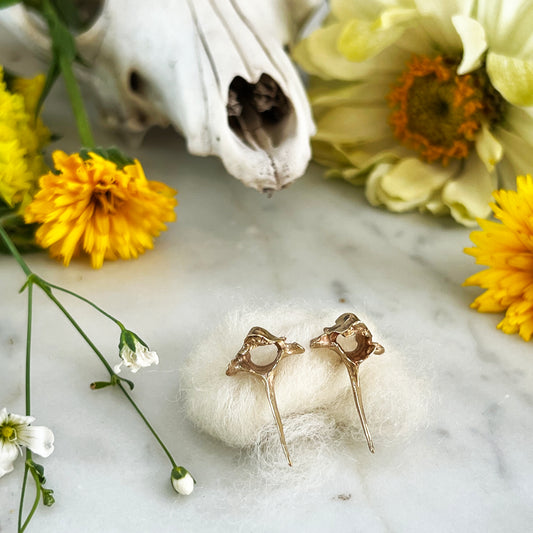 ✷ 14k Gold ✷ squirrel vertebrae earrings