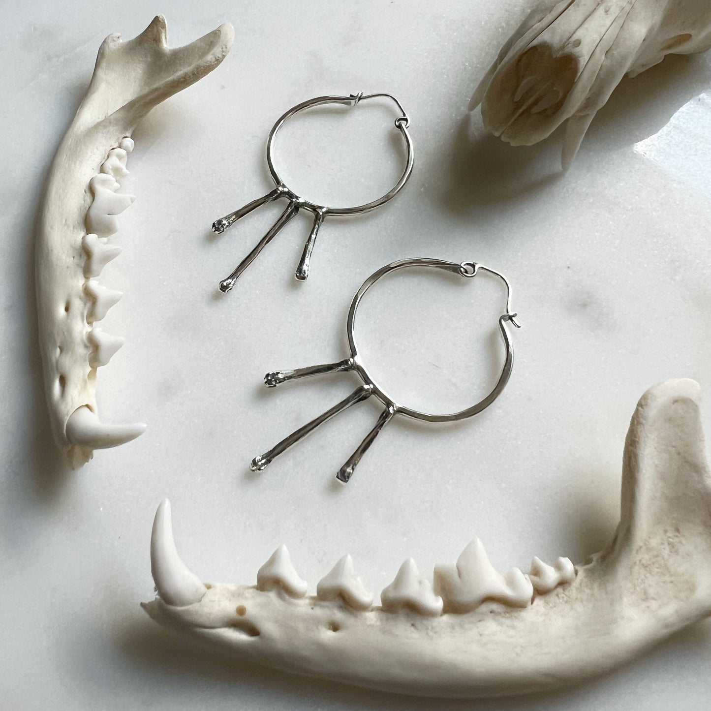 Small hoops with Squirrel toe and foot bones