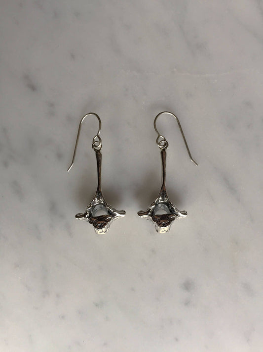 Opossum Vertebrae earrings