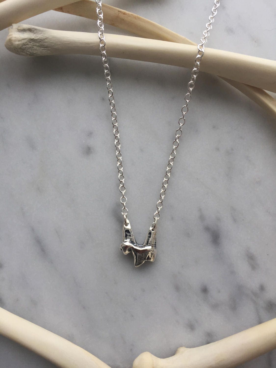 Fox clearance tooth necklace