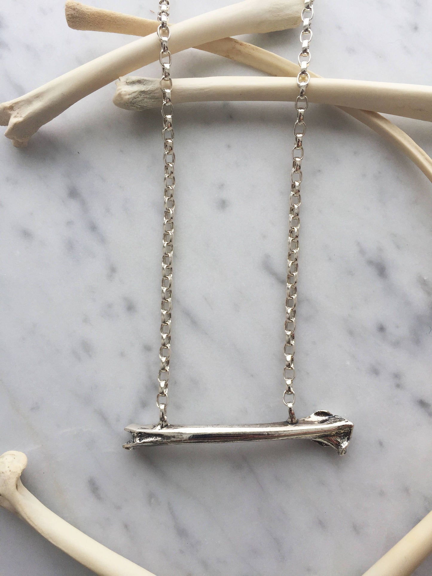 Rabbit Femur Necklace with Rollo Chain