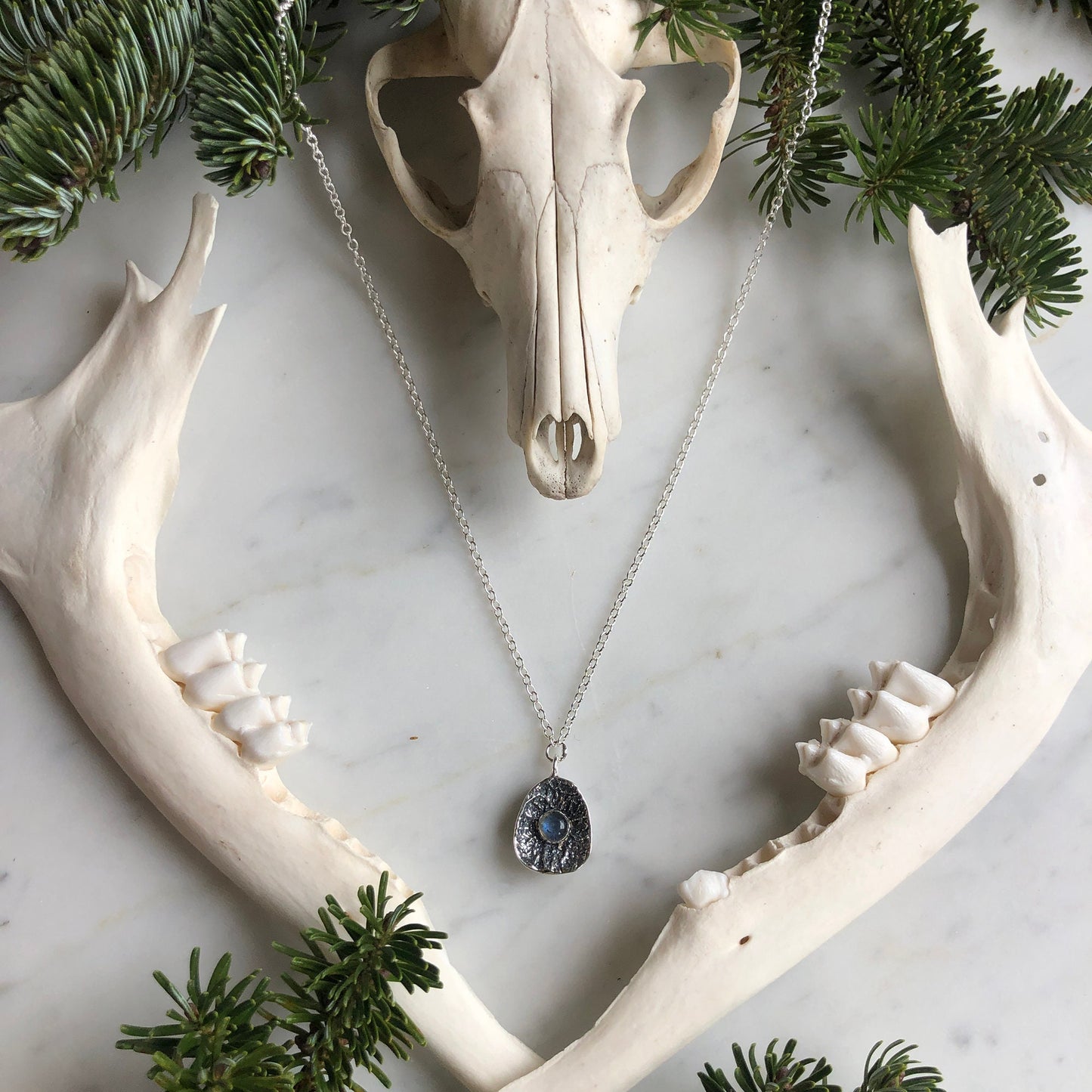 deer vertebral epiphysis necklace (3/4" cupped) with Labradorite